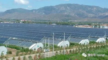 光伏农业前景好 紧跟政策很重要